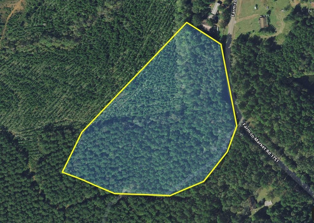 Tract 57 Fm 1751, San Augustine, Texas image 9