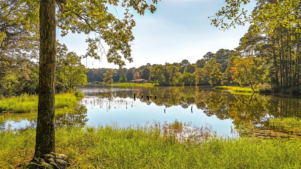 TBD 27 Timber Grove, Livingston, Texas image 8