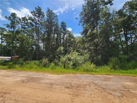 Photo of 1 Hollybrook Drive, Plantersville, TX 77363 (MLS # 59760386)