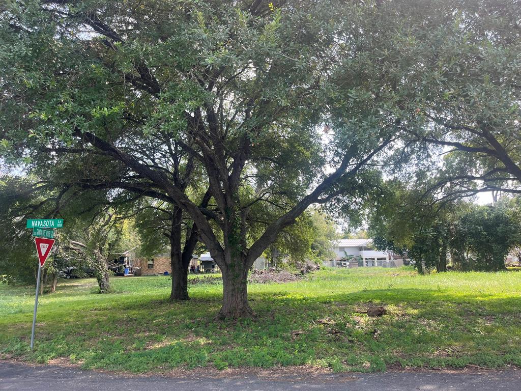 101 Navasota Lane, Seguin, Texas image 8