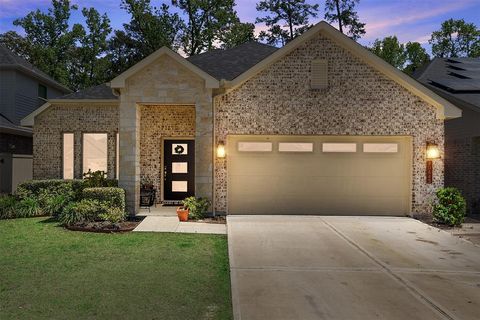 Single Family Residence in Magnolia TX 40643 Goldeneye Place.jpg