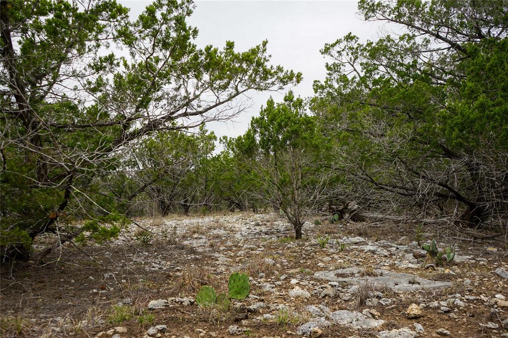 1450 Primrose Ln, Kerrville, Texas image 31