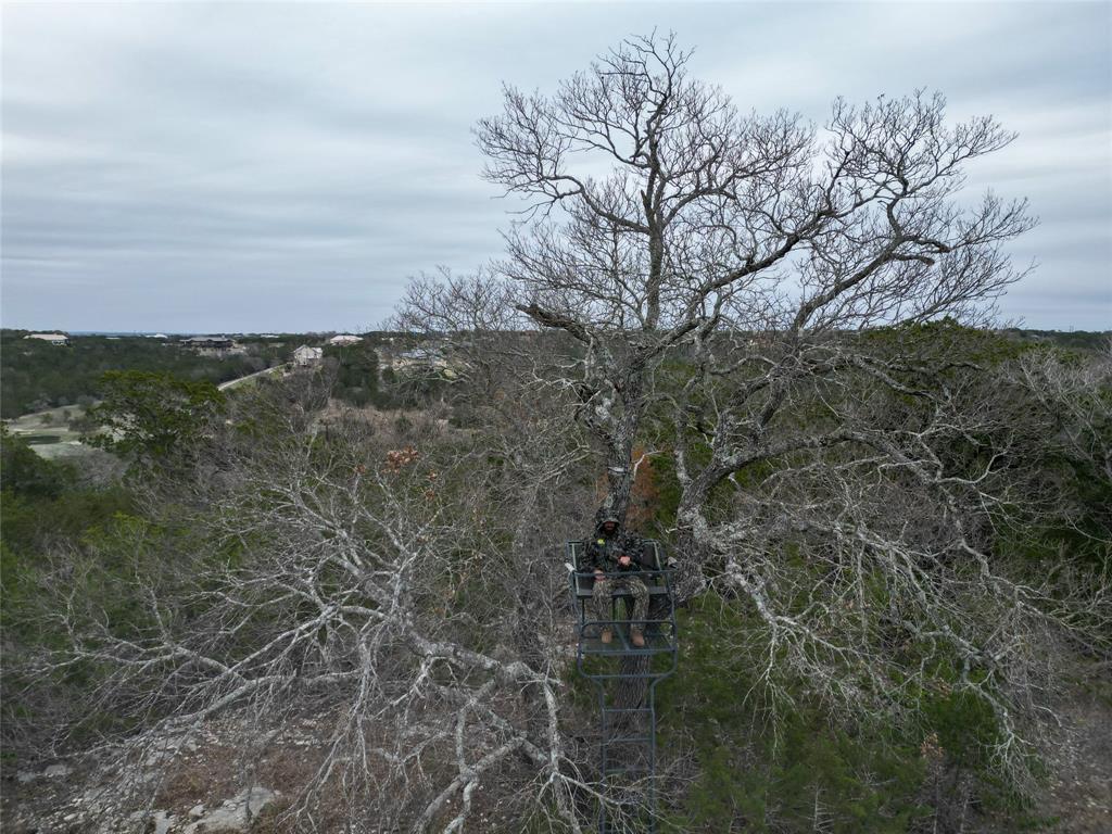 1450 Primrose Ln, Kerrville, Texas image 14