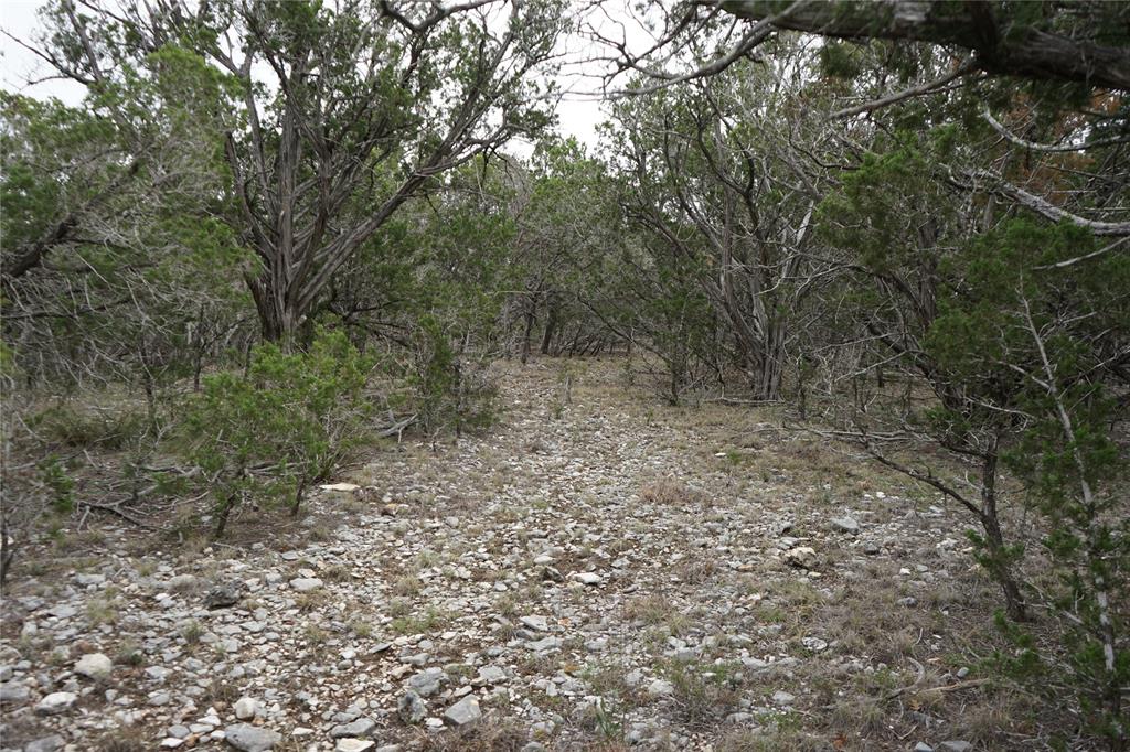 1450 Primrose Ln, Kerrville, Texas image 35