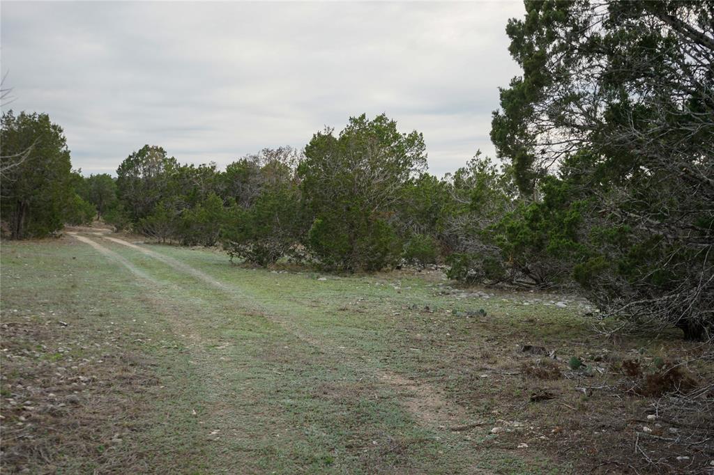 1450 Primrose Ln, Kerrville, Texas image 3