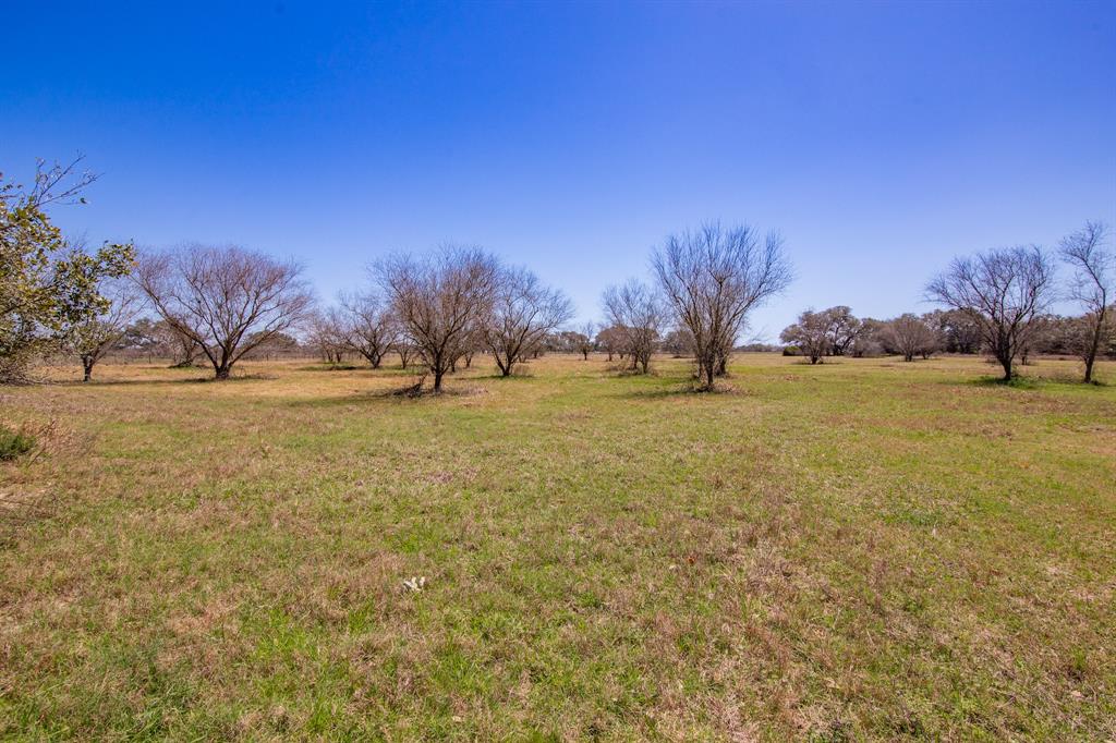 2631 Benbow Road, Inez, Texas image 9