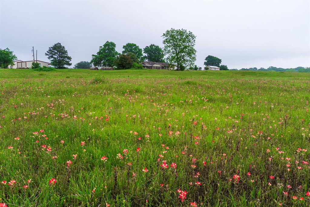 9840 County Road 305, Grandview, Texas image 43
