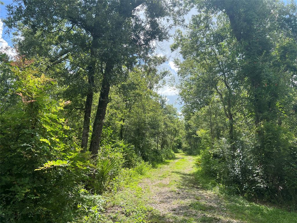 9502 Fm 1462 Road