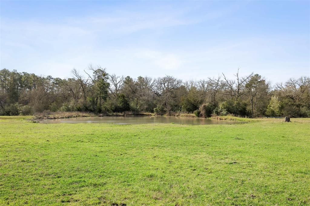 128 Duke Road Road, Bedias, Texas image 38