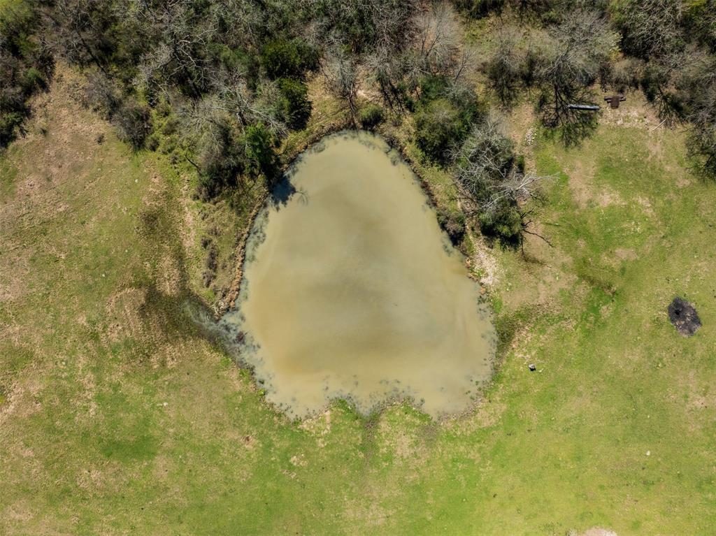 128 Duke Road Road, Bedias, Texas image 44