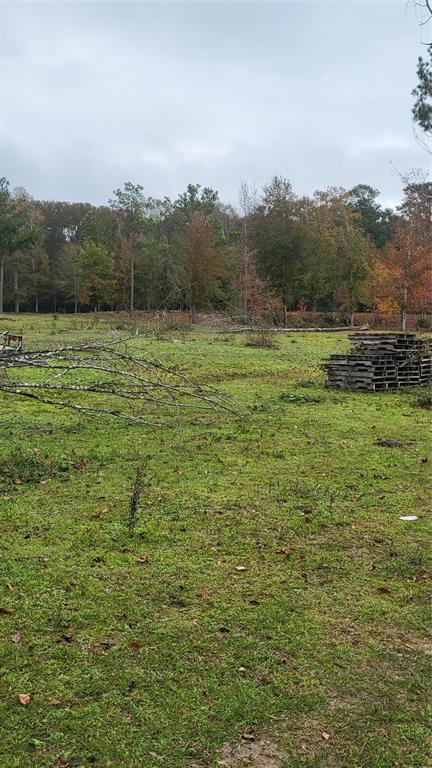 Runnels Road, Coldspring, Texas image 7