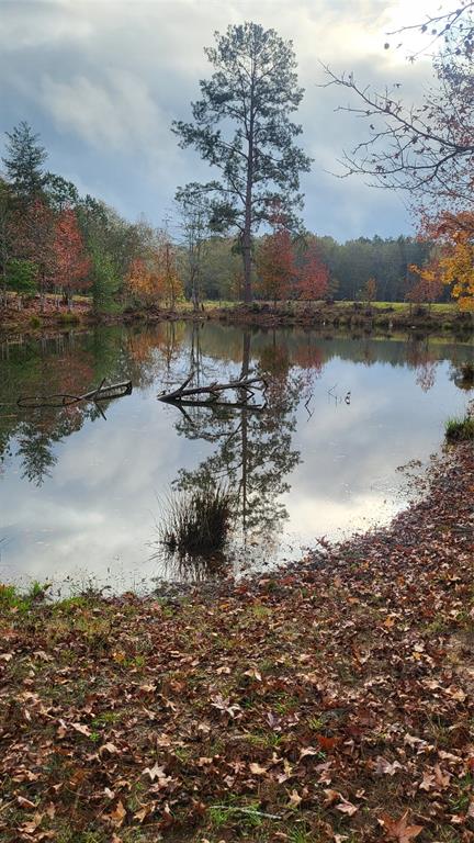 Runnels Road, Coldspring, Texas image 8