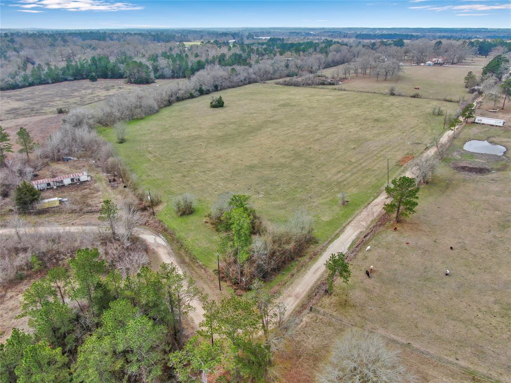 TBD Whispering Pines Road, New Waverly, Texas image 12