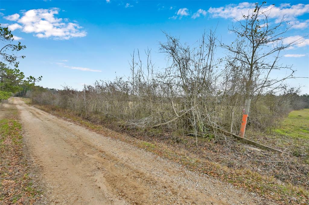 TBD Whispering Pines Road, New Waverly, Texas image 6