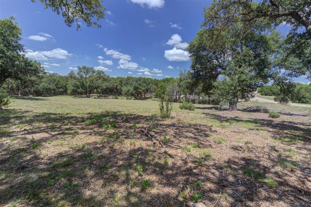 27227 Eichenbaum Road, New Braunfels, Texas image 3