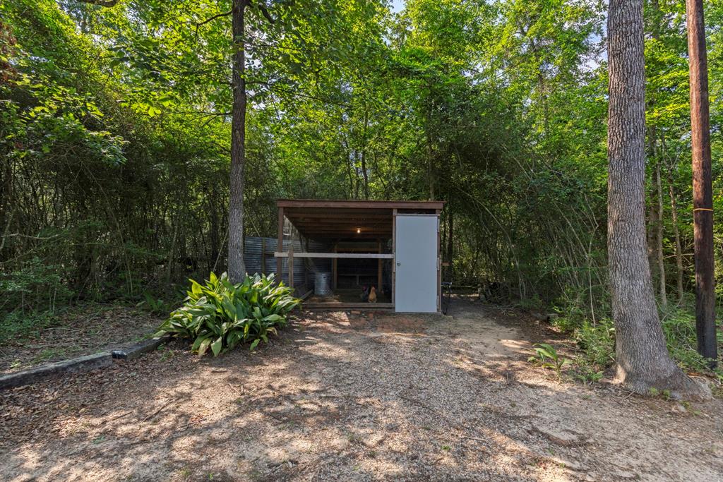 17131 Carrol Lane, Willis, Texas image 30