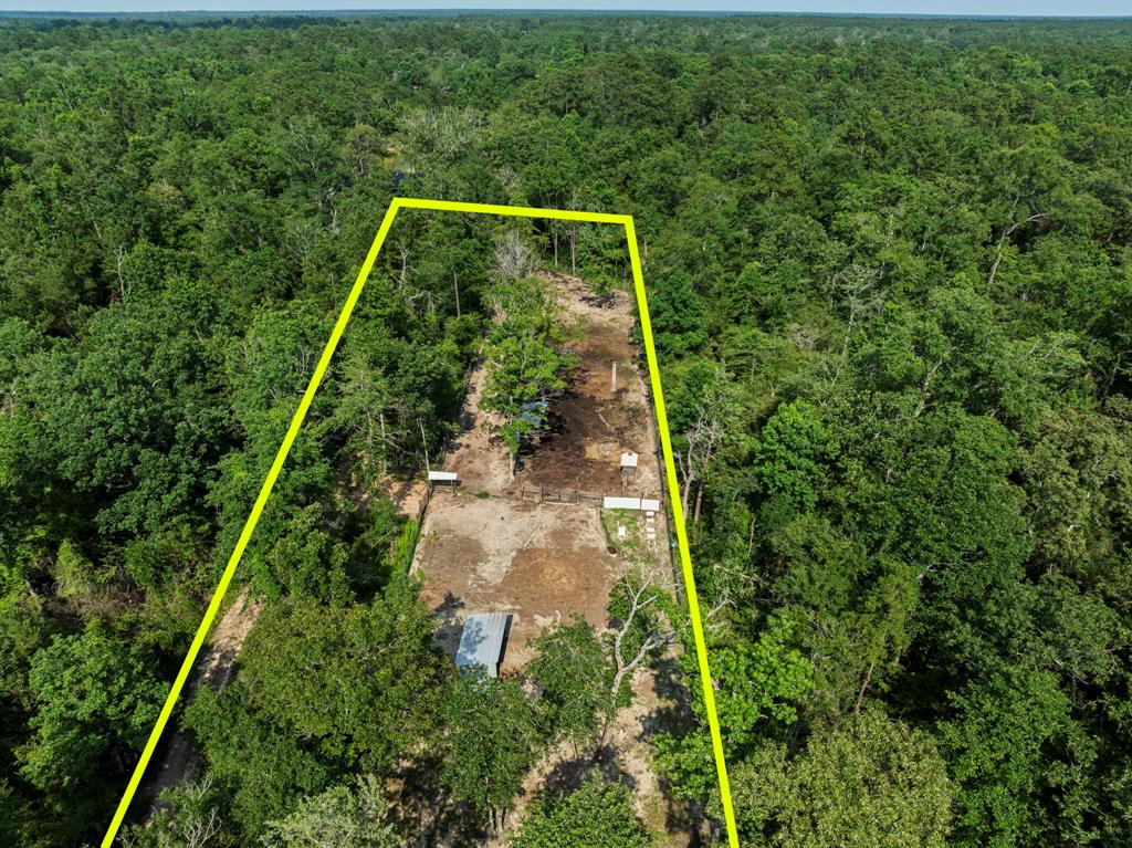 17131 Carrol Lane, Willis, Texas image 48