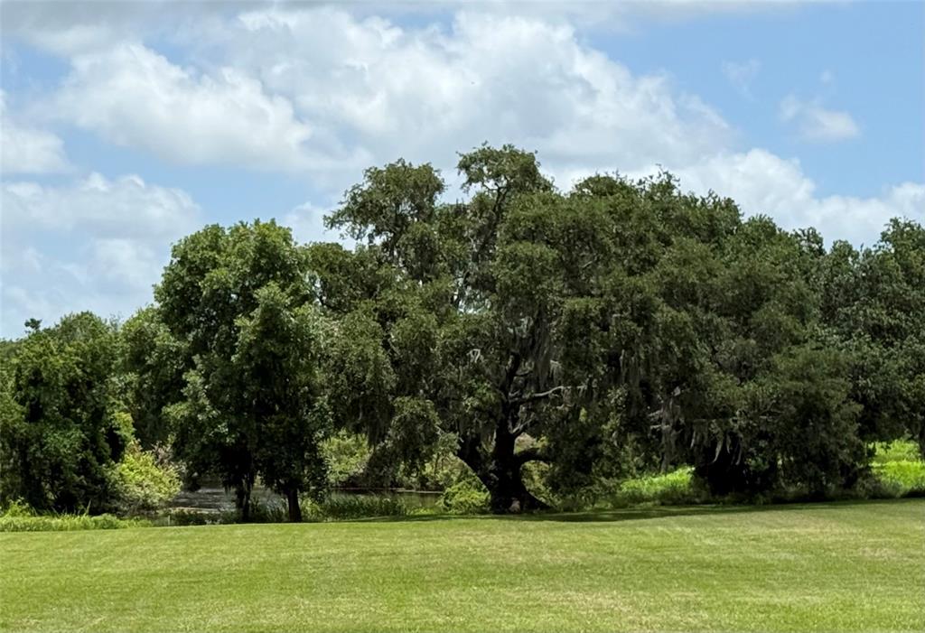 1549 Frontier Trail, Angleton, Texas image 26