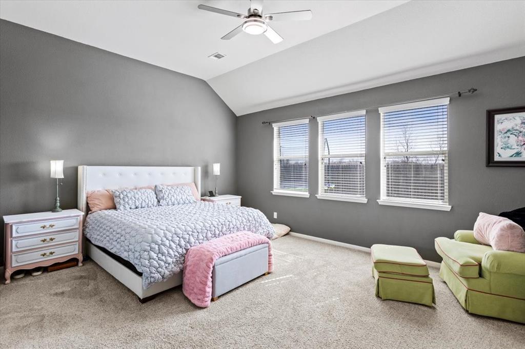 2506 Solitude, Deer Park, Texas image 19