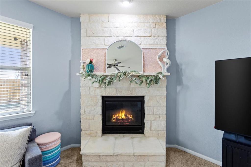 2506 Solitude, Deer Park, Texas image 18
