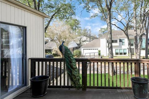 A home in Houston