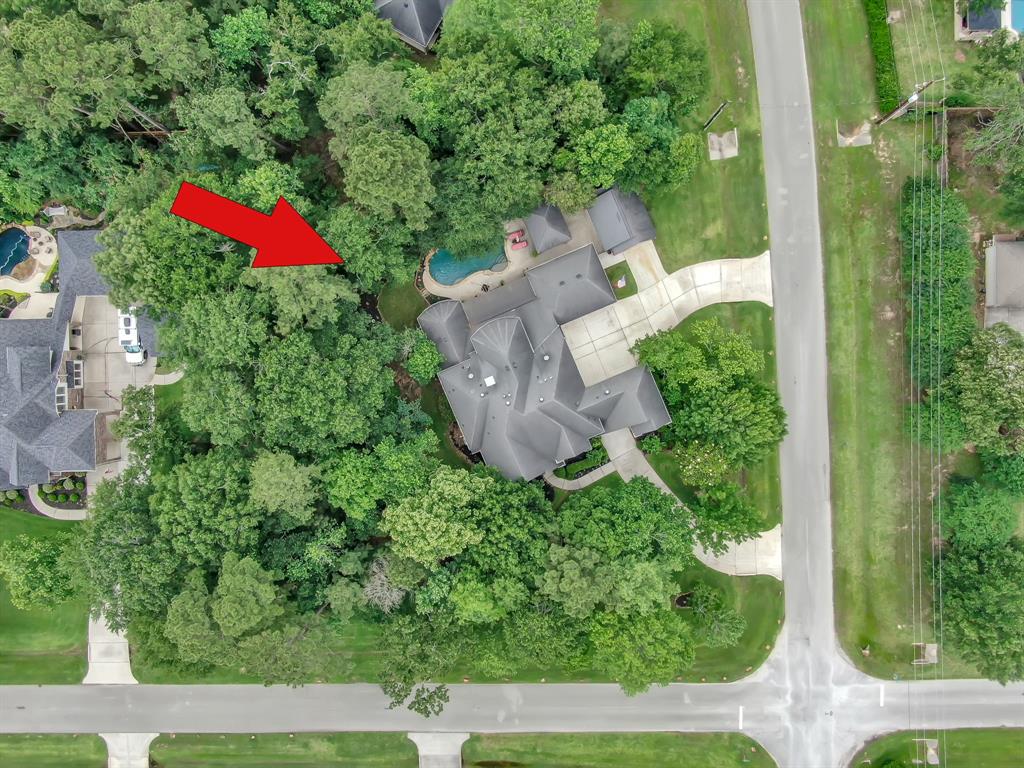 13262 Royal Ridge, Conroe, Texas image 43