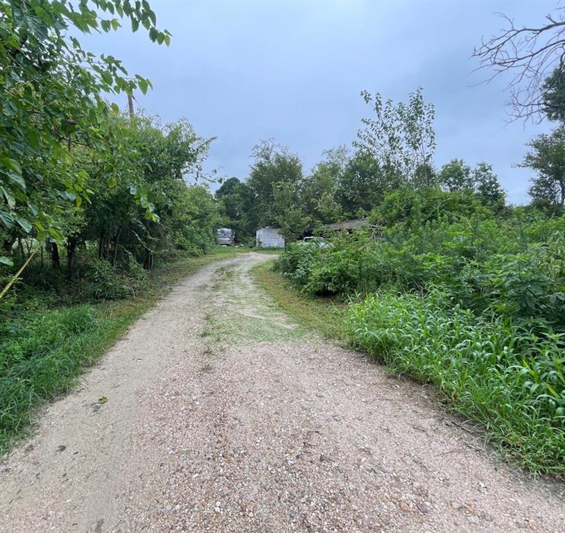5935 Pindula Road, Sealy, Texas image 4