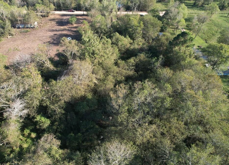 5935 Pindula Road, Sealy, Texas image 1