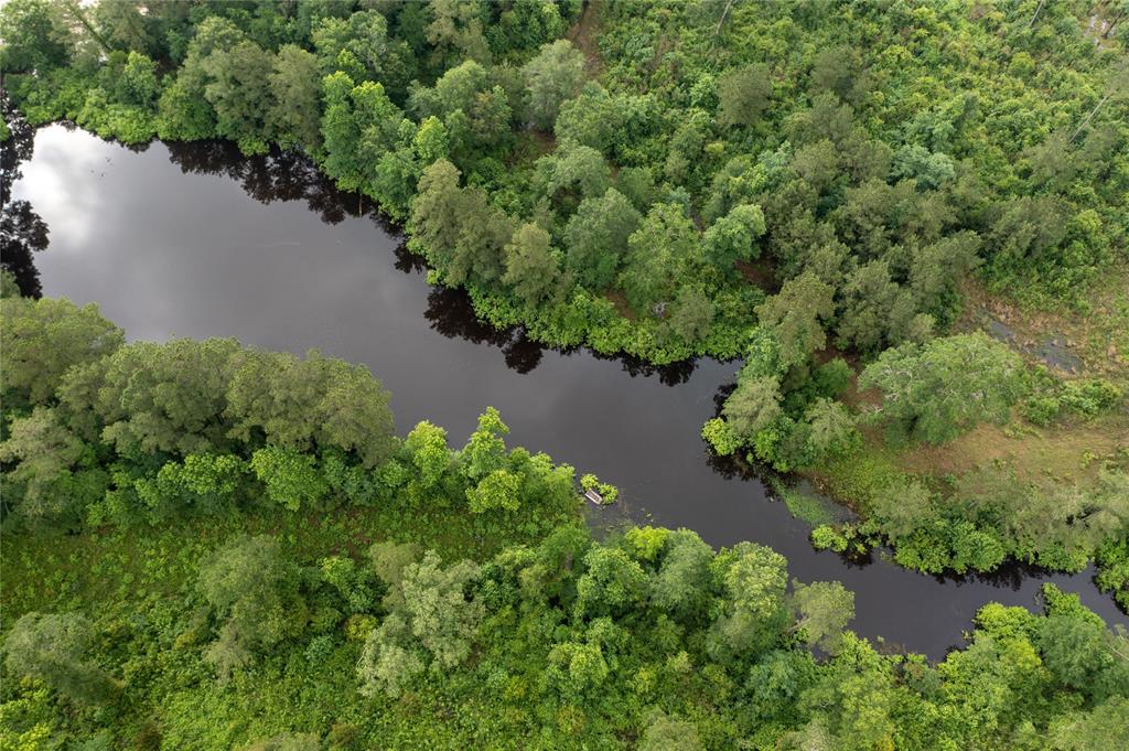 Hardy Bottom Road, Huntsville, Texas image 18