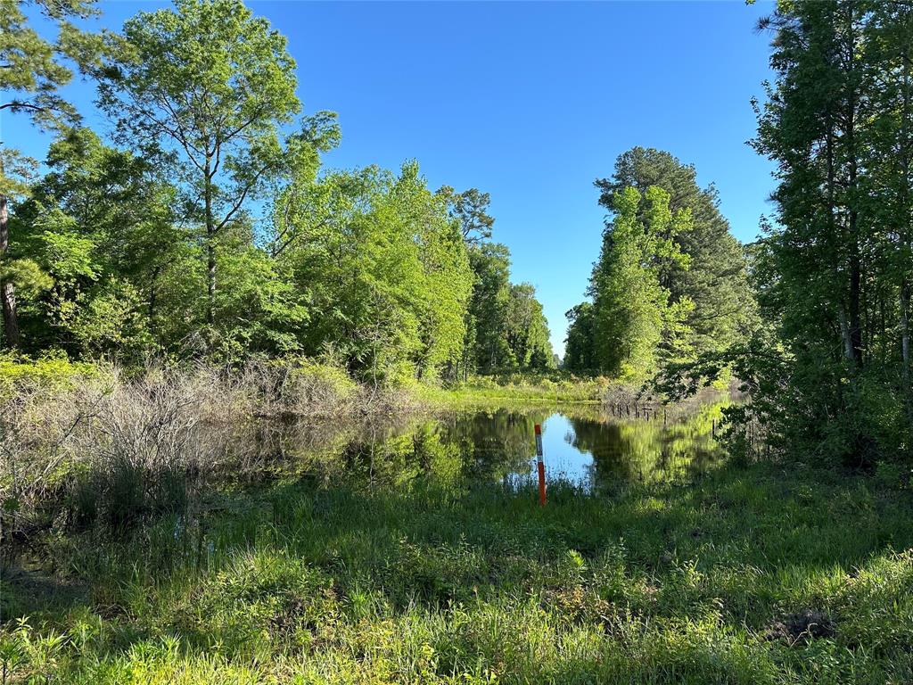 Hardy Bottom Road, Huntsville, Texas image 5