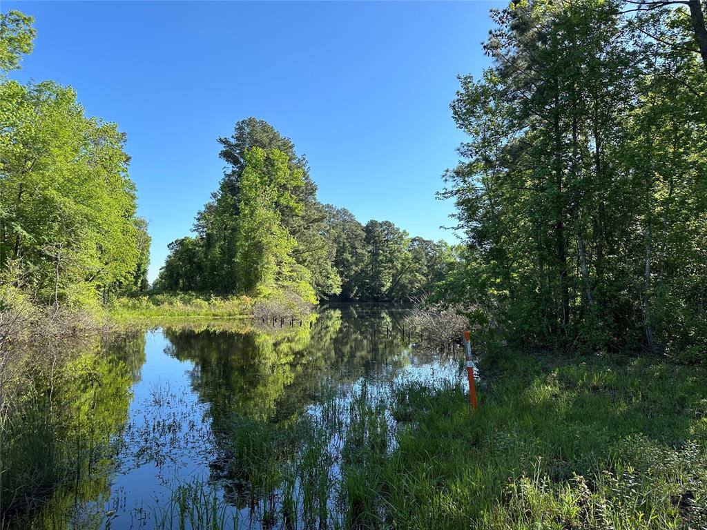 Hardy Bottom Road, Huntsville, Texas image 4