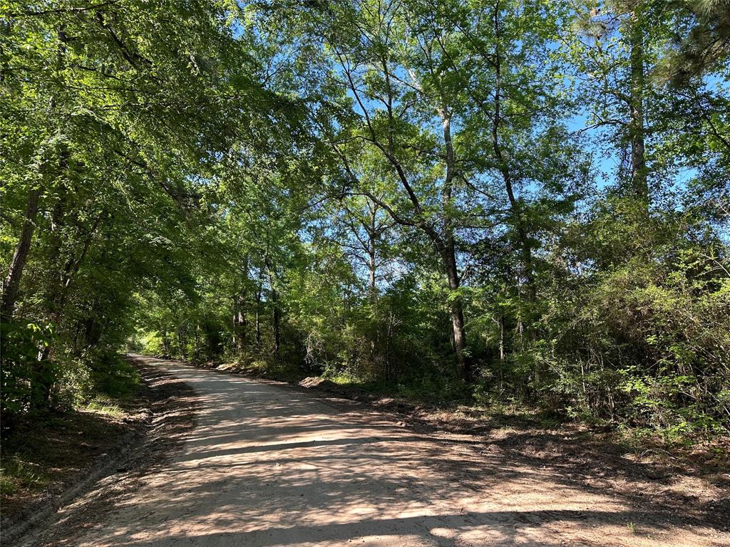 Hardy Bottom Road, Huntsville, Texas image 1