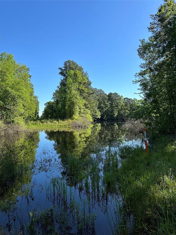 Hardy Bottom Road, Huntsville, Texas image 16