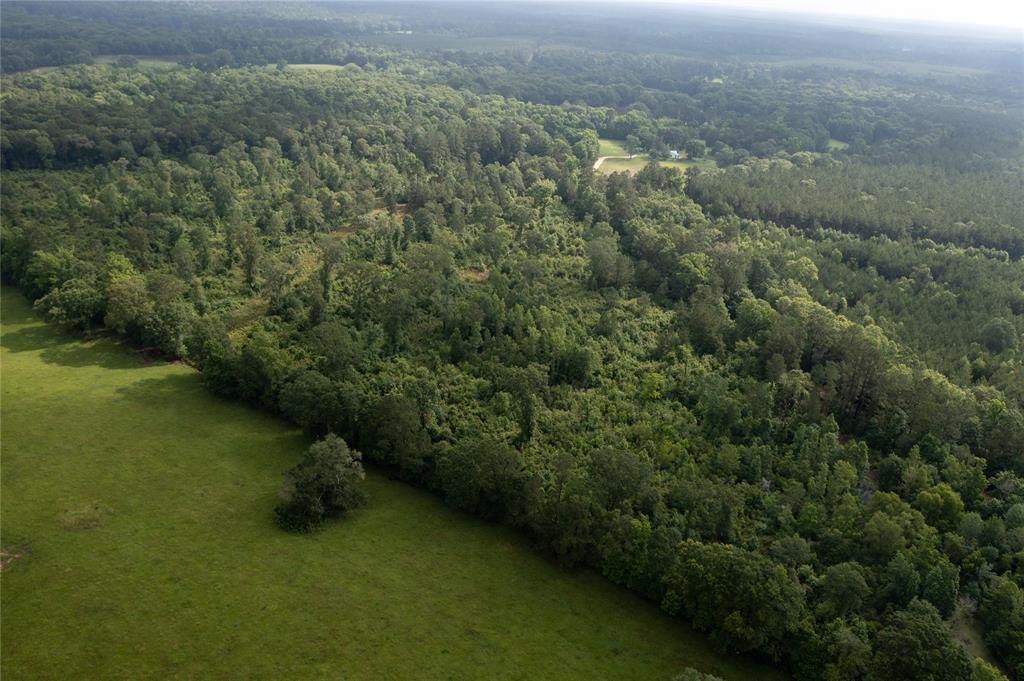 Hardy Bottom Road, Huntsville, Texas image 20