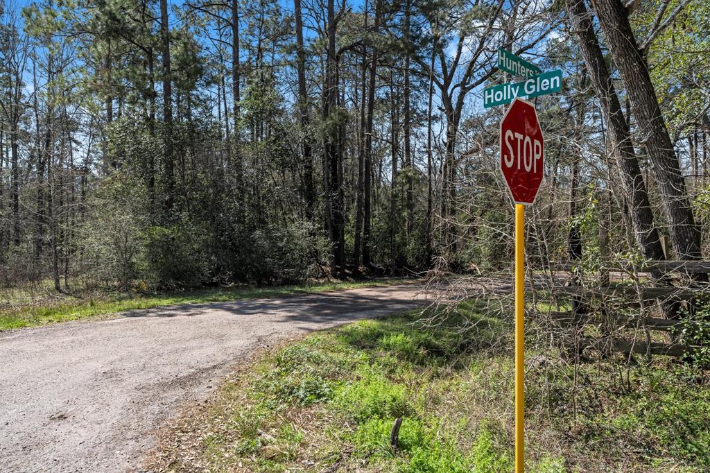 Hunters Trail, New Caney, Texas image 7