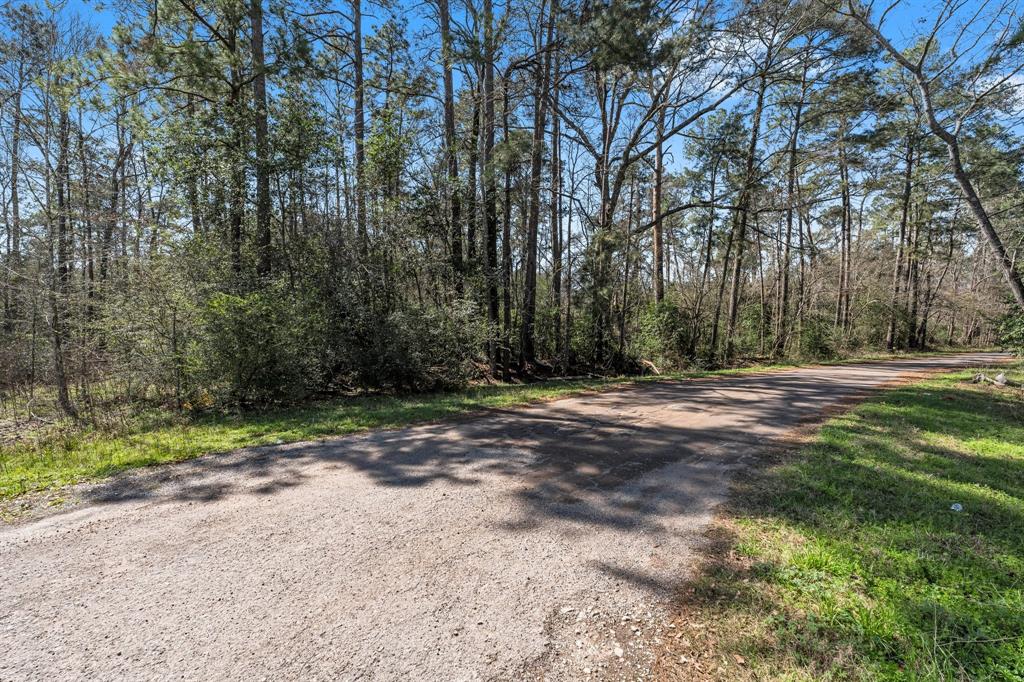 Hunters Trail, New Caney, Texas image 2