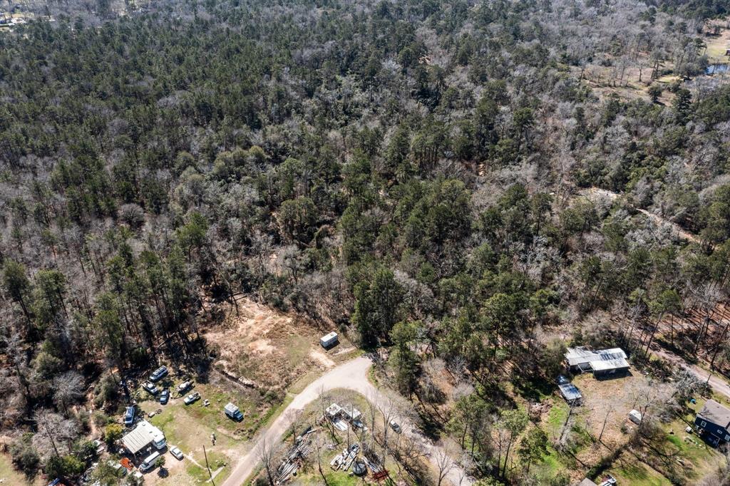 Hunters Trail, New Caney, Texas image 9