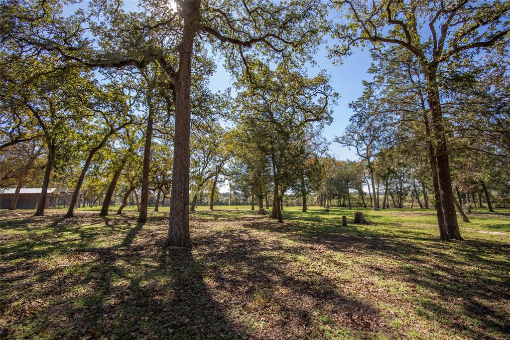6766 Stokes Road, Bellville, Texas image 27
