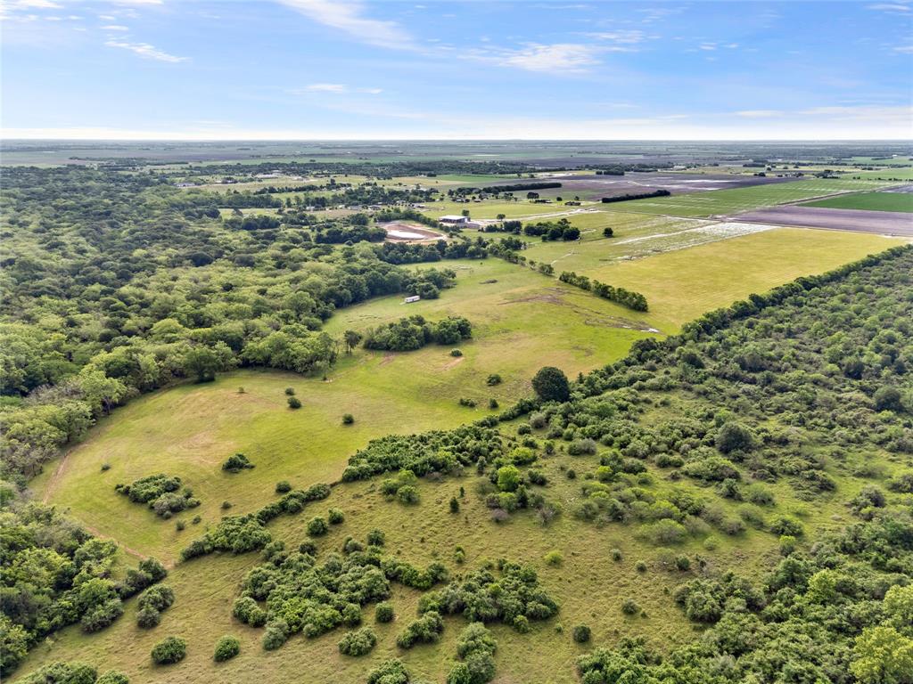 14150 B Battle Road, Beasley, Texas image 9