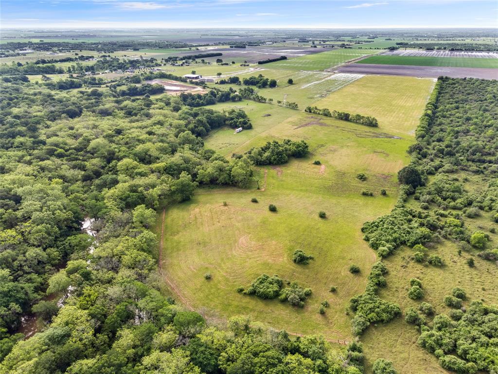 14150 B Battle Road, Beasley, Texas image 1