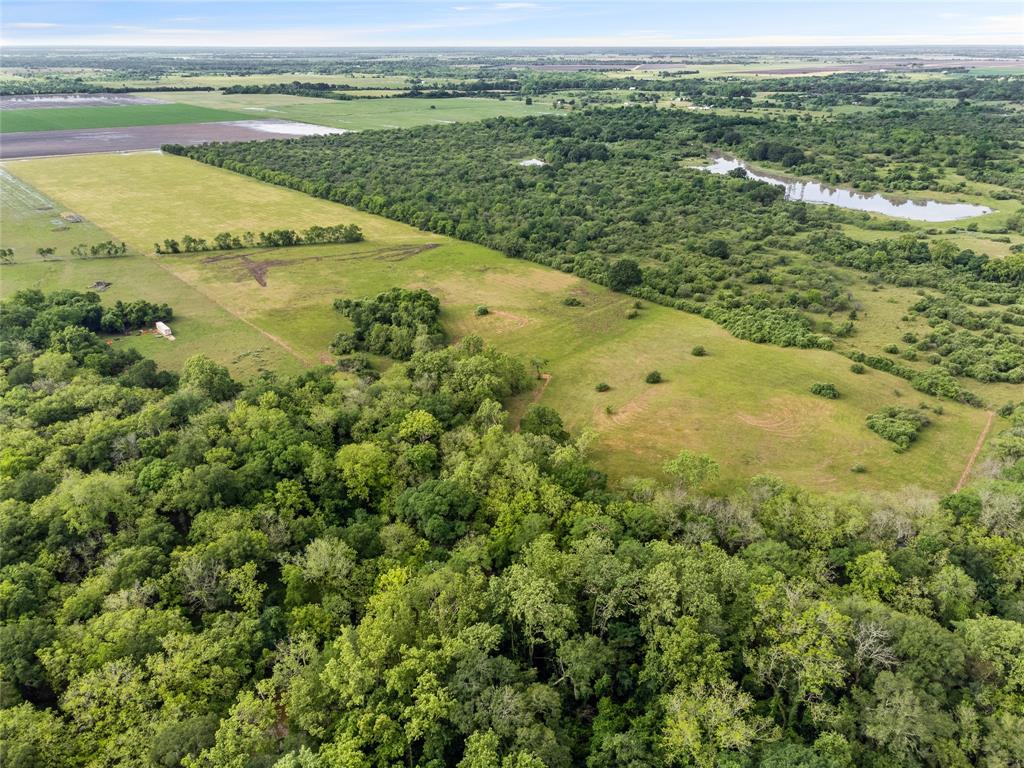 14150 B Battle Road, Beasley, Texas image 4