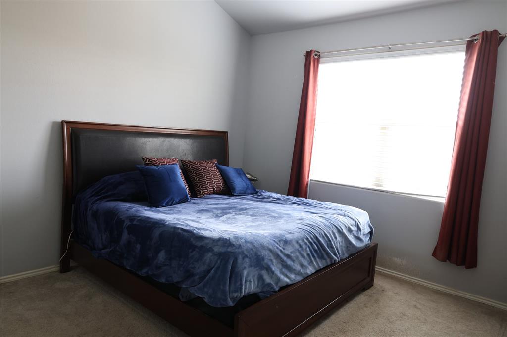 316 Wincliff Drive, Buda, Texas image 20
