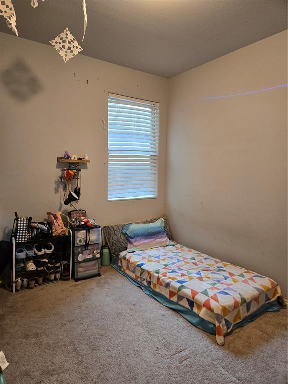 316 Wincliff Drive, Buda, Texas image 19