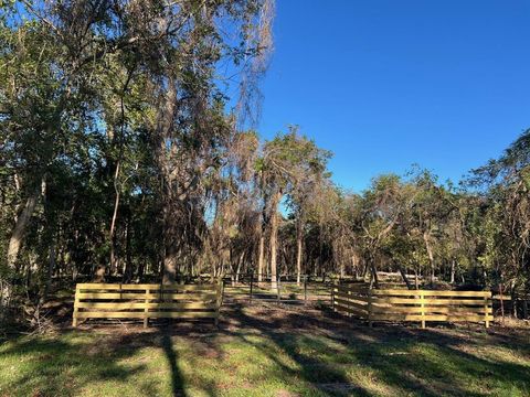 Photo of 519 County Road 849, Brazoria, TX 77422 (MLS # 7069385)