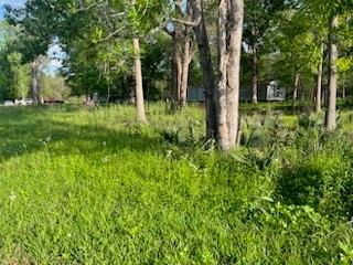 13669 Mcgregor Road, Conroe, Texas image 4
