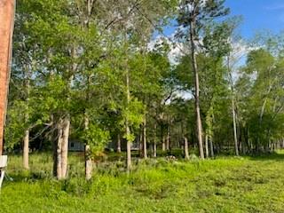 13669 Mcgregor Road, Conroe, Texas image 6