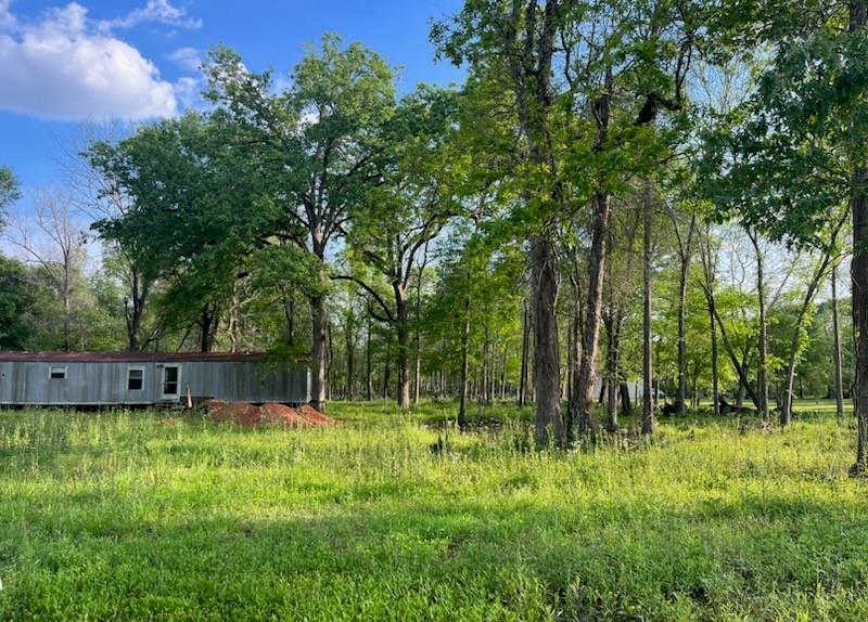 13669 Mcgregor Road, Conroe, Texas image 8
