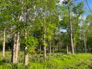 13669 Mcgregor Road, Conroe, Texas image 5