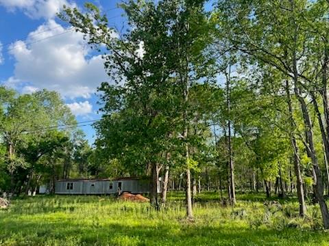 13669 Mcgregor Road, Conroe, Texas image 9