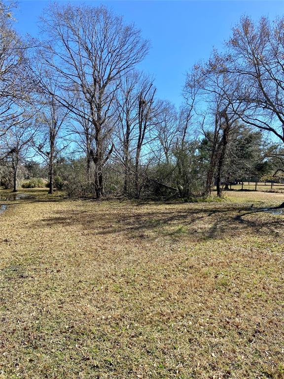 1851 Fm 522 Road, West Columbia, Texas image 22